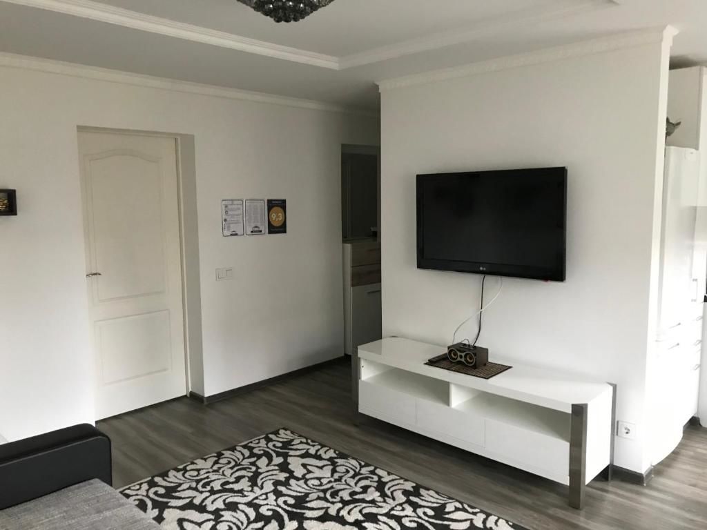 Апартаменты Fine Apartment Елгава